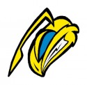 vosa